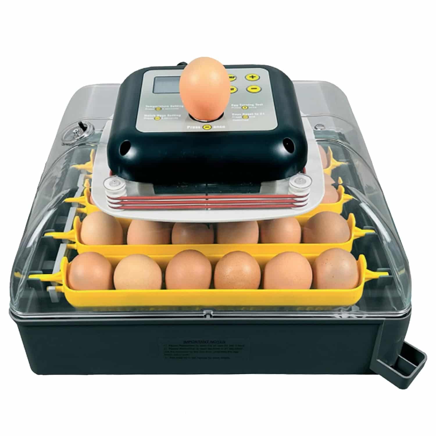 Best 5 Automatic Egg Incubators of 2026: Achieving High Hatch Rates ...
