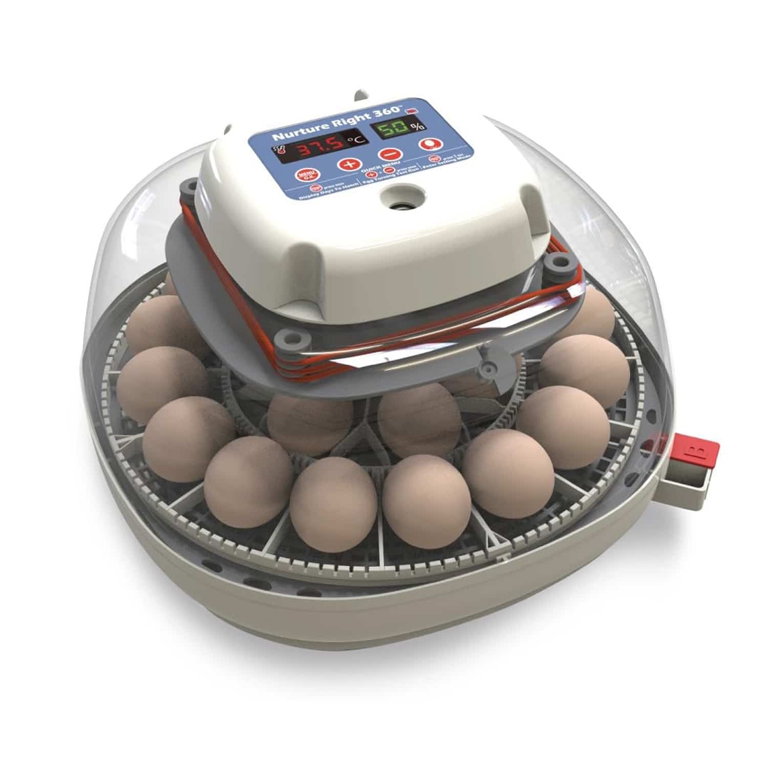 Best 5 Automatic Egg Incubators of 2026: Achieving High Hatch Rates ...